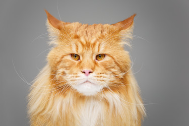 Similar image 13183424