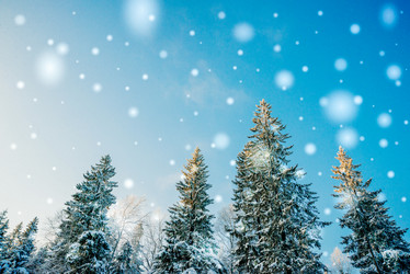 Similar image 13179938