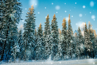 Similar image 13179957