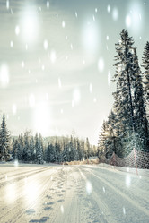 Similar image 13179994