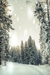 Similar image 13179995