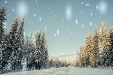 Similar image 13180014