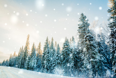 Similar image 13180015