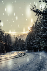 Similar image 13180016