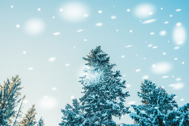 Similar image 13180057