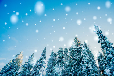 Similar image 13180058