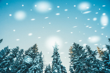 Similar image 13180100