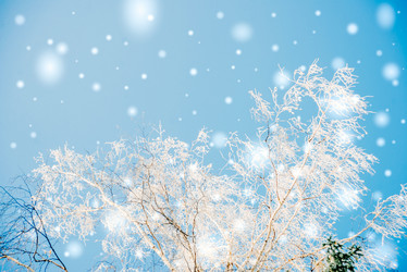 Similar image 13180115