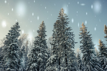 Similar image 13180116