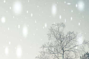 Similar image 13180117