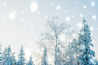 Similar image 13180118