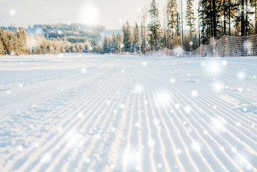 Similar image 13180138