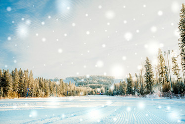 Similar image 13180139