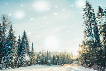 Similar image 13180140