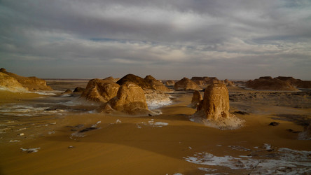 Similar image 13155341