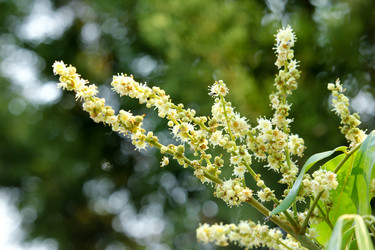 Similar image 13155991