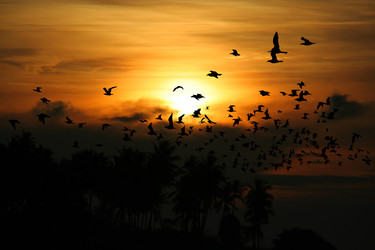 Similar image 13156011