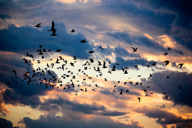 Similar image 13156012