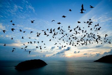 Similar image 13156050