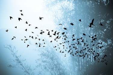 Similar image 13156069