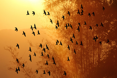 Similar image 13156075