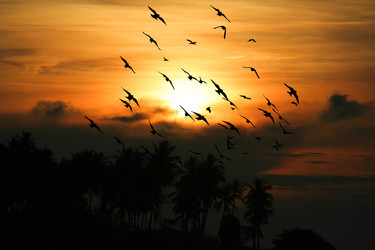 Similar image 13156089