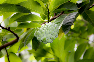 Similar image 13156090