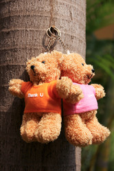 Similar image 13156092