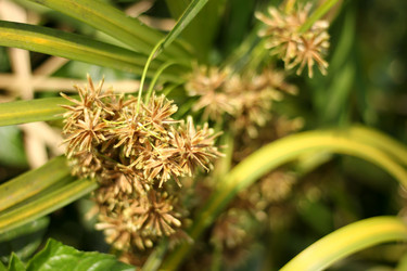 Similar image 13156133