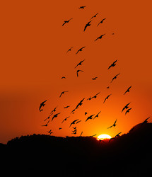 Similar image 13158669