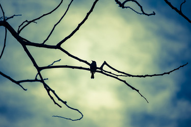 Similar image 13158670