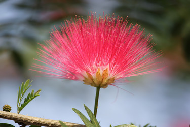 Similar image 13158703