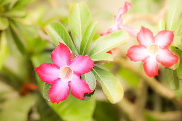 Similar image 13158704