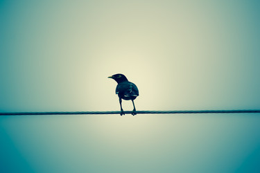 Similar image 13165488