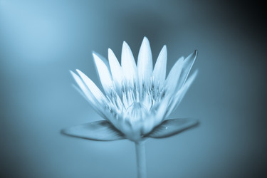 Similar image 13165491