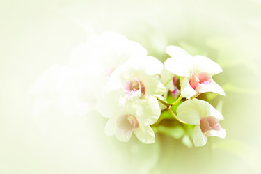 Similar image 13165508