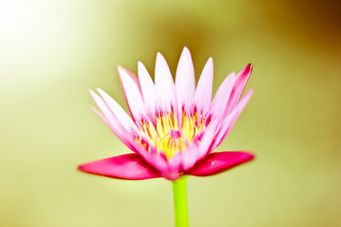 Similar image 13165511