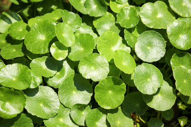 Similar image 13165512