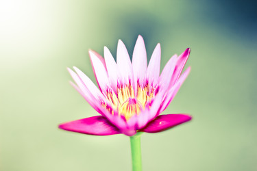 Similar image 13165513