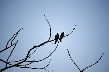 Similar image 13165526