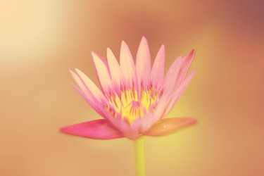 Similar image 13165527