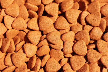 Similar image 13165528