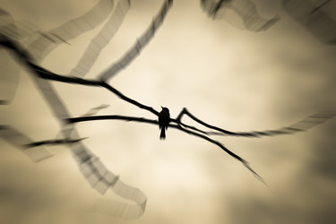 Similar image 13168540