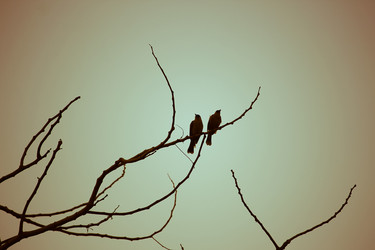 Similar image 13168542