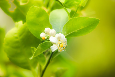 Similar image 13168543