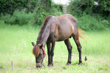 Similar image 13155993