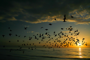 Similar image 13155994