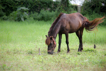 Similar image 13156014