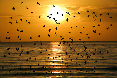 Similar image 13156015