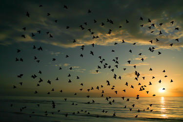 Similar image 13156016